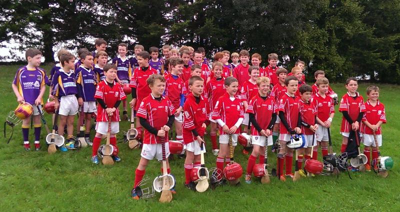 KC u9 (2004) v Monaleen Limerick2