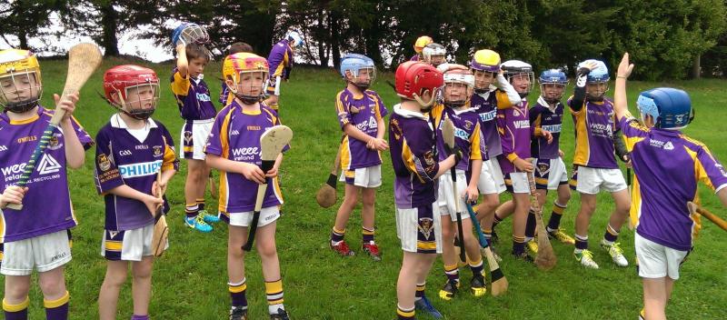 KC u9 (2004) v Monaleen Limerick4