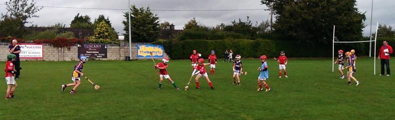 KC u9 (2004) v Monaleen Limerick5