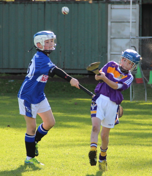 Kilmacud Crokes Hurling Blitz Oct 2013 (10)_W