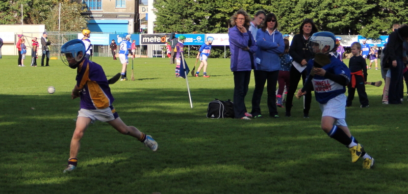 Kilmacud Crokes Hurling Blitz Oct 2013 (11)_W