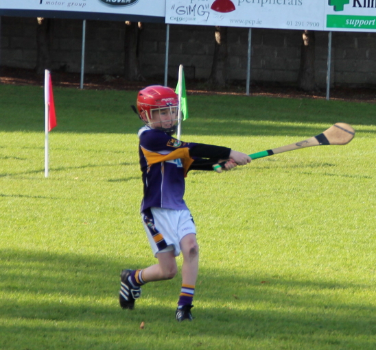 Kilmacud Crokes Hurling Blitz Oct 2013 (15)_W