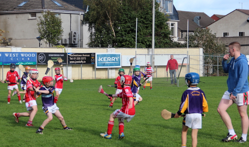 Kilmacud Crokes Hurling Blitz Oct 2013 (19)_W