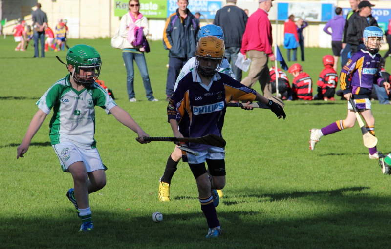 Kilmacud Crokes Hurling Blitz Oct 2013 (1)_W