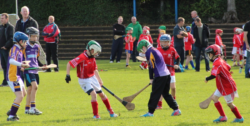 Kilmacud Crokes Hurling Blitz Oct 2013 (20)_W