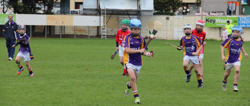 Kilmacud Crokes Hurling Blitz Oct 2013 (23)_W