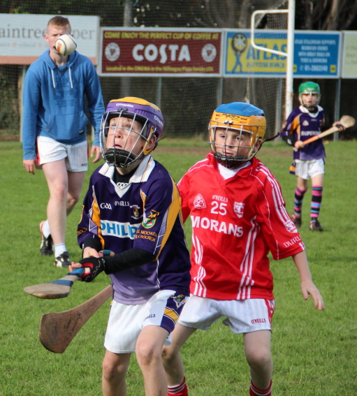 Kilmacud Crokes Hurling Blitz Oct 2013 (25)_W