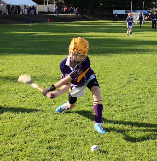 Kilmacud Crokes Hurling Blitz Oct 2013 (2)_W