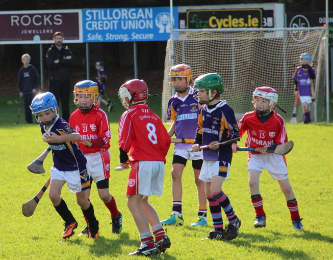 Kilmacud Crokes Hurling Blitz Oct 2013 (30)_W