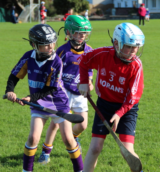 Kilmacud Crokes Hurling Blitz Oct 2013 (31)_W