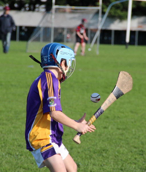 Kilmacud Crokes Hurling Blitz Oct 2013 (32)_W