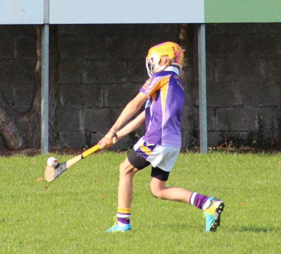 Kilmacud Crokes Hurling Blitz Oct 2013 (33)_W