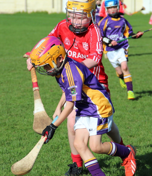 Kilmacud Crokes Hurling Blitz Oct 2013 (34)_W