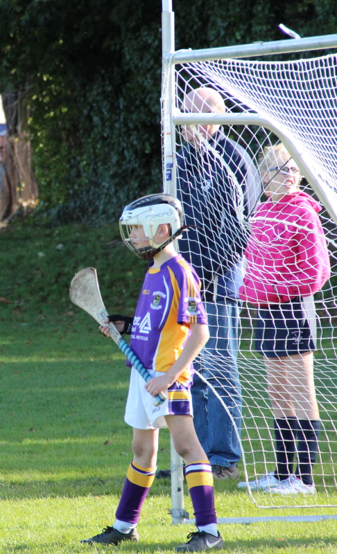 Kilmacud Crokes Hurling Blitz Oct 2013 (35)_W