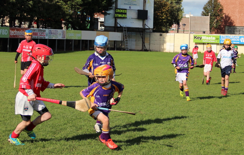 Kilmacud Crokes Hurling Blitz Oct 2013 (36)_W