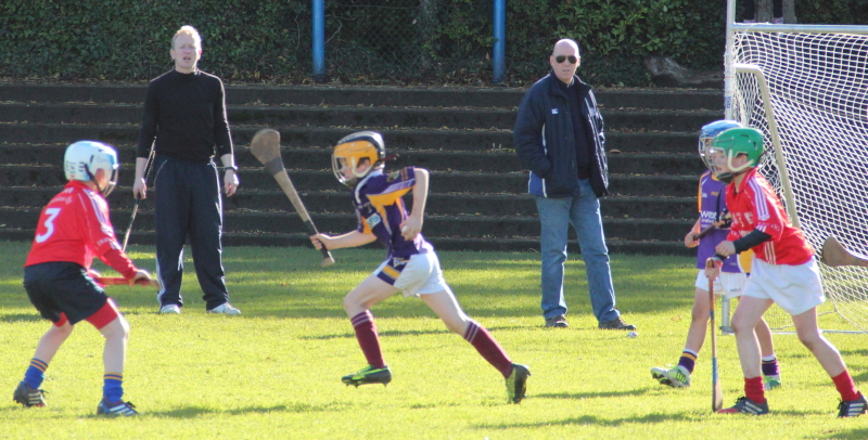 Kilmacud Crokes Hurling Blitz Oct 2013 (37)_W