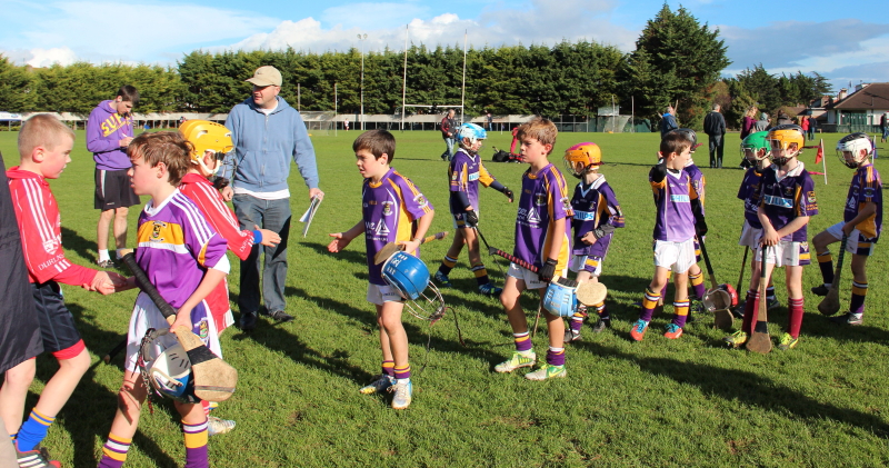 Kilmacud Crokes Hurling Blitz Oct 2013 (38)_W