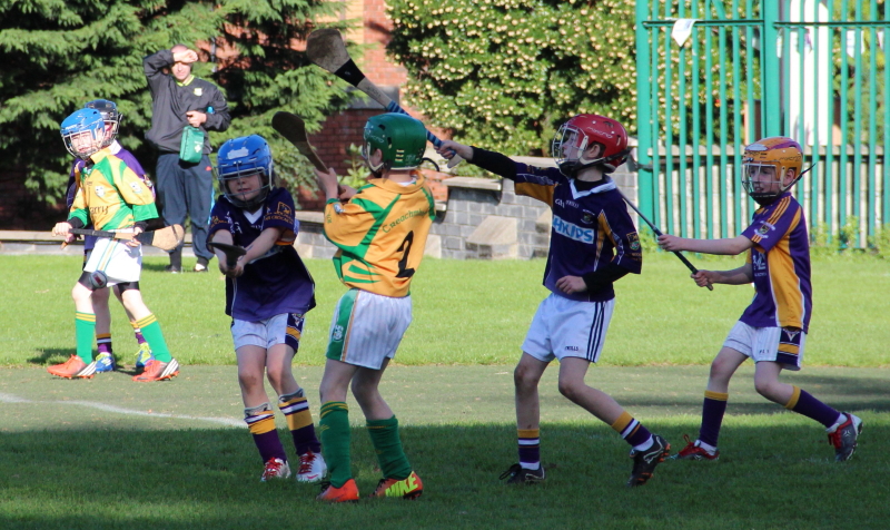 Kilmacud Crokes Hurling Blitz Oct 2013 (40)_W