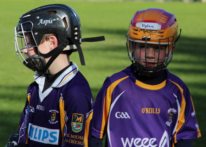 Kilmacud Crokes Hurling Blitz Oct 2013 (42)_W