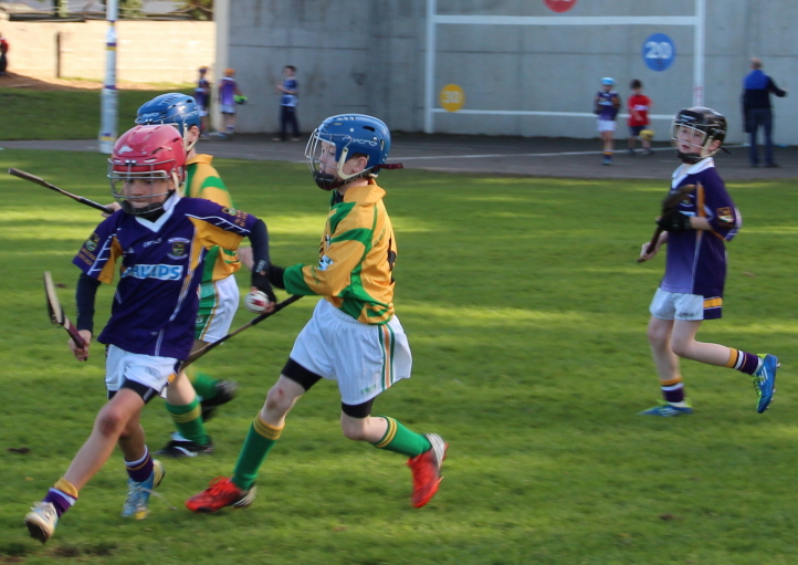 Kilmacud Crokes Hurling Blitz Oct 2013 (44)_W