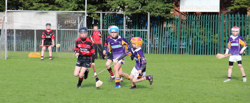 Kilmacud Crokes Hurling Blitz Oct 2013 (48)_W