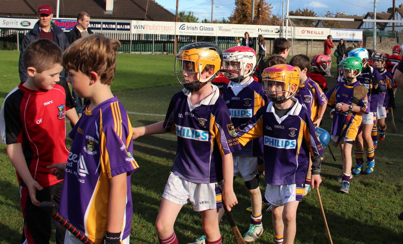 Kilmacud Crokes Hurling Blitz Oct 2013 (49)_W