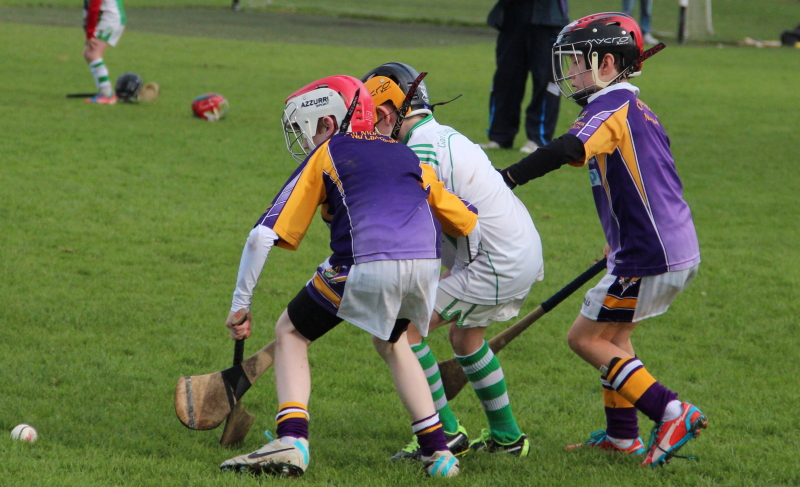 Kilmacud Crokes Hurling Blitz Oct 2013 (50)_W