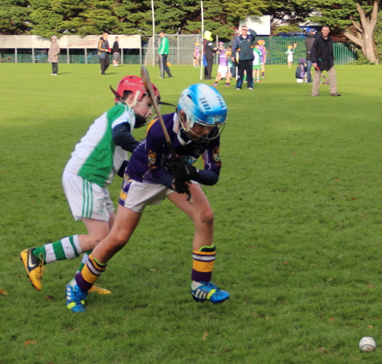 Kilmacud Crokes Hurling Blitz Oct 2013 (53)_W