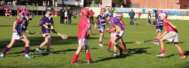 Kilmacud Crokes Hurling Blitz Oct 2013 (54)_W