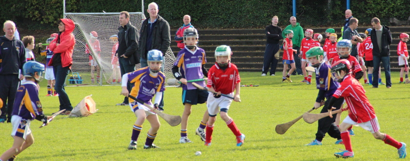 Kilmacud Crokes Hurling Blitz Oct 2013 (55)_W