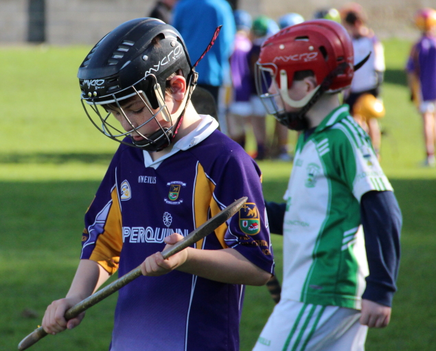 Kilmacud Crokes Hurling Blitz Oct 2013 (5)_W