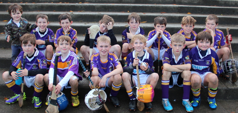 Kilmacud Crokes Hurling Blitz Oct 2013 (66)_W