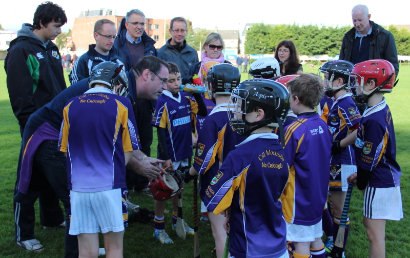 Kilmacud Crokes Hurling Blitz Oct 2013 (6)_W