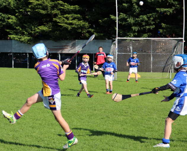 Kilmacud Crokes Hurling Blitz Oct 2013 (7)_W