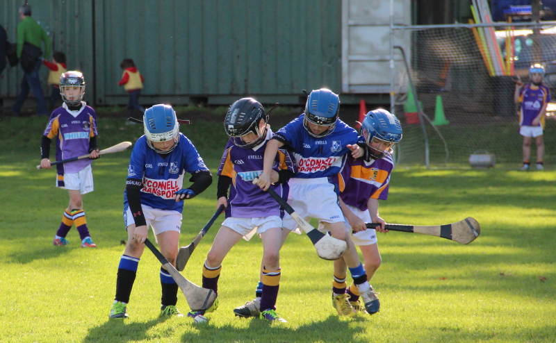 Kilmacud Crokes Hurling Blitz Oct 2013 (9)_W