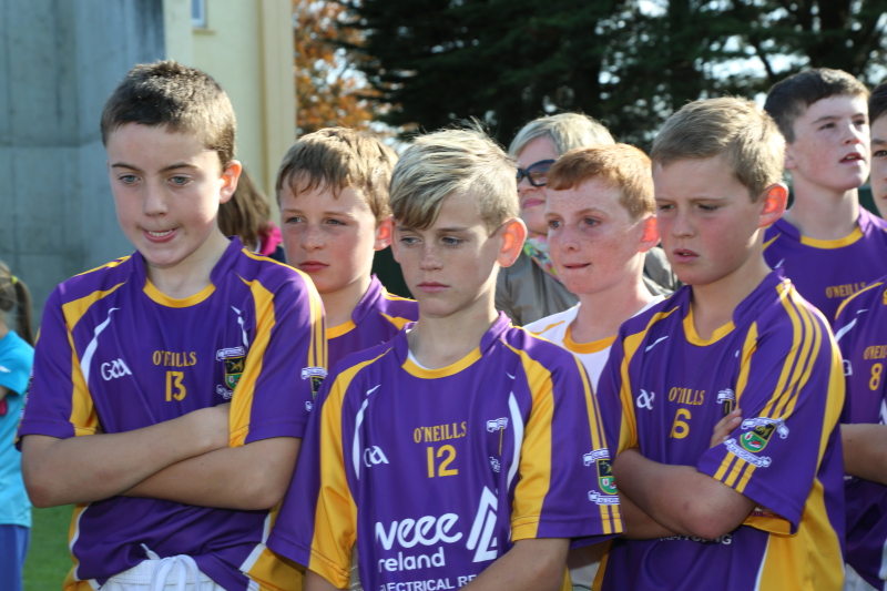 2015 7's - Crokes win Under 13 Competition