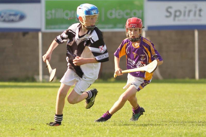 2015 7's - Crokes win Under 13 Competition