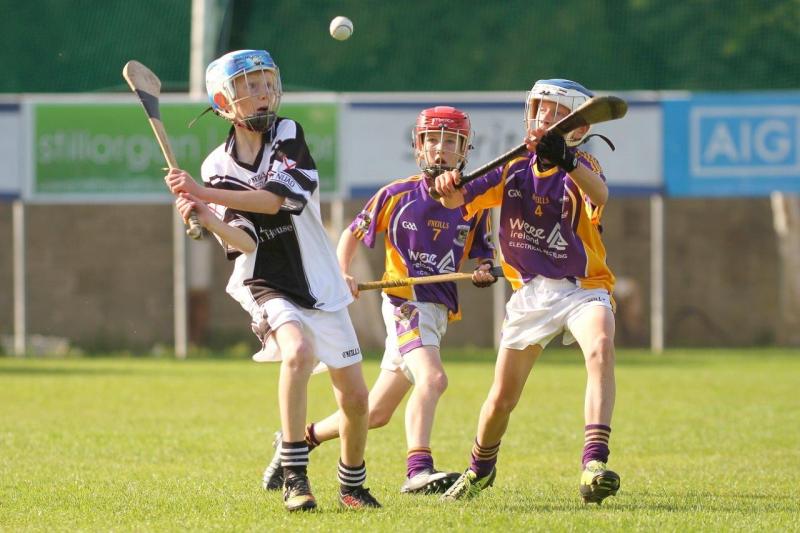 2015 7's - Crokes win Under 13 Competition