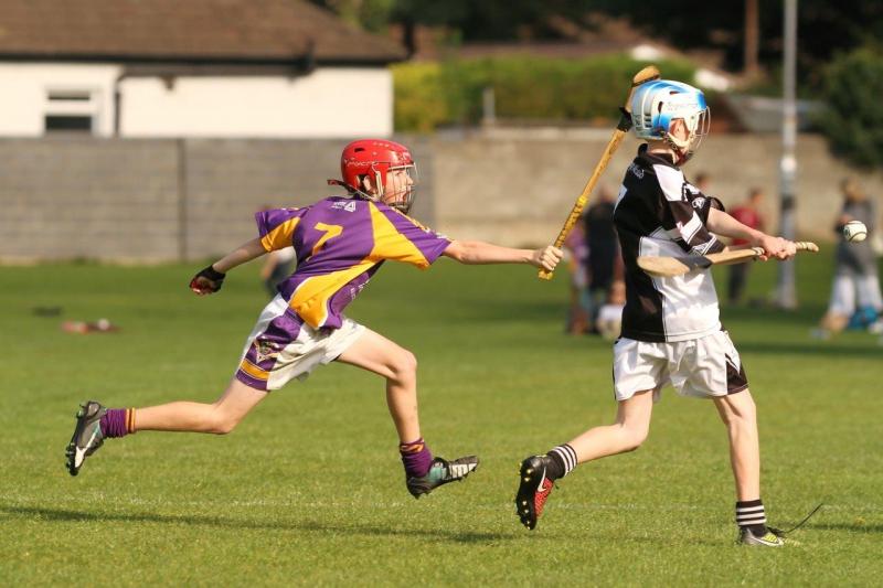 2015 7's - Crokes win Under 13 Competition