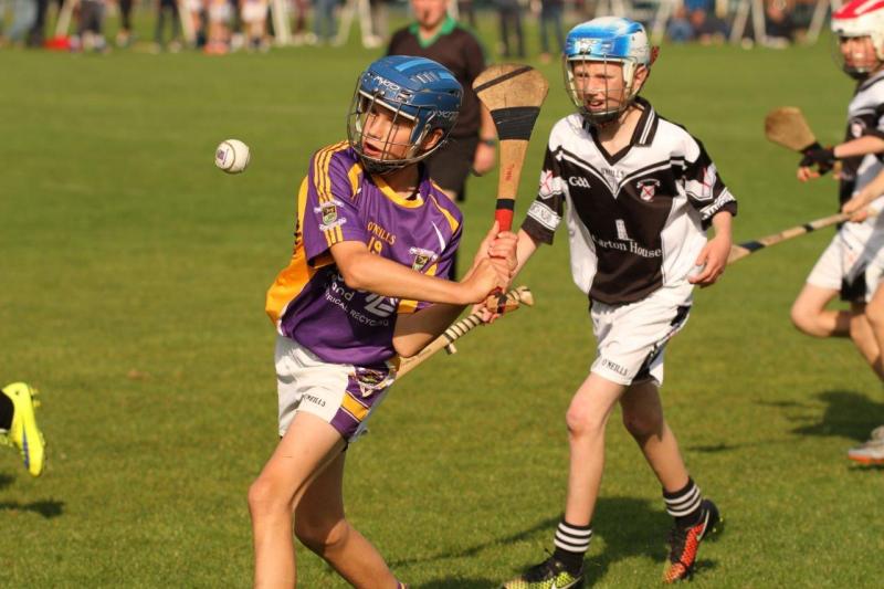 2015 7's - Crokes win Under 13 Competition