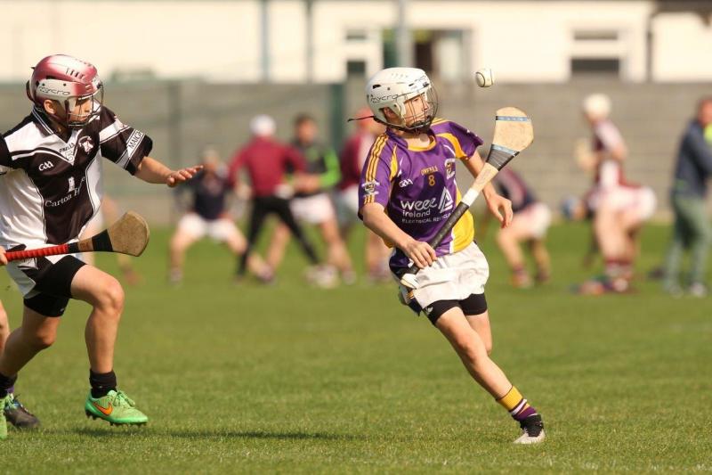 2015 7's - Crokes win Under 13 Competition