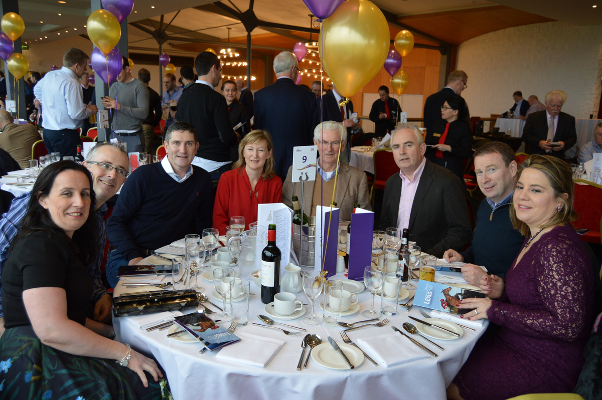 2015 Lexus Race Day at Leopardstown