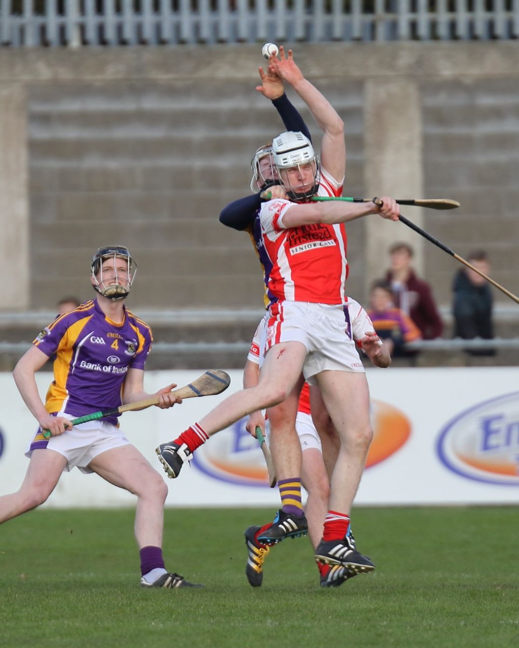 SHC - Cuala v Crokes