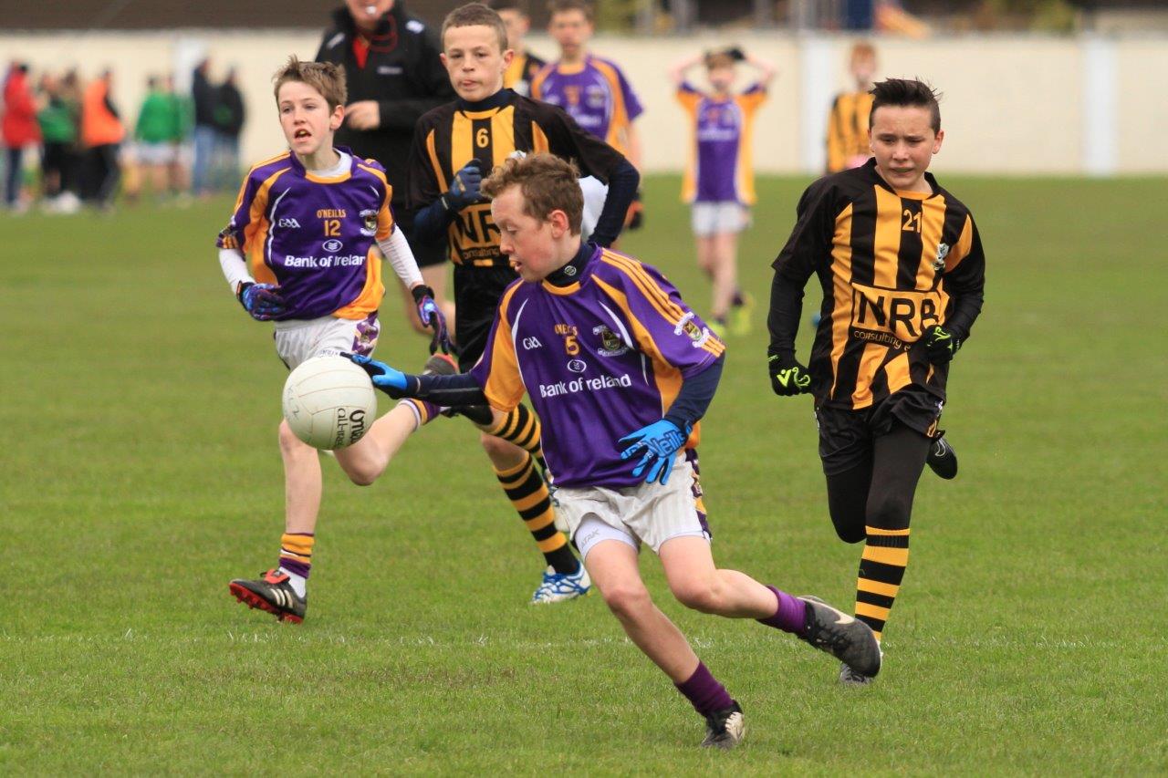 Féile B Team - Reports and Photographs