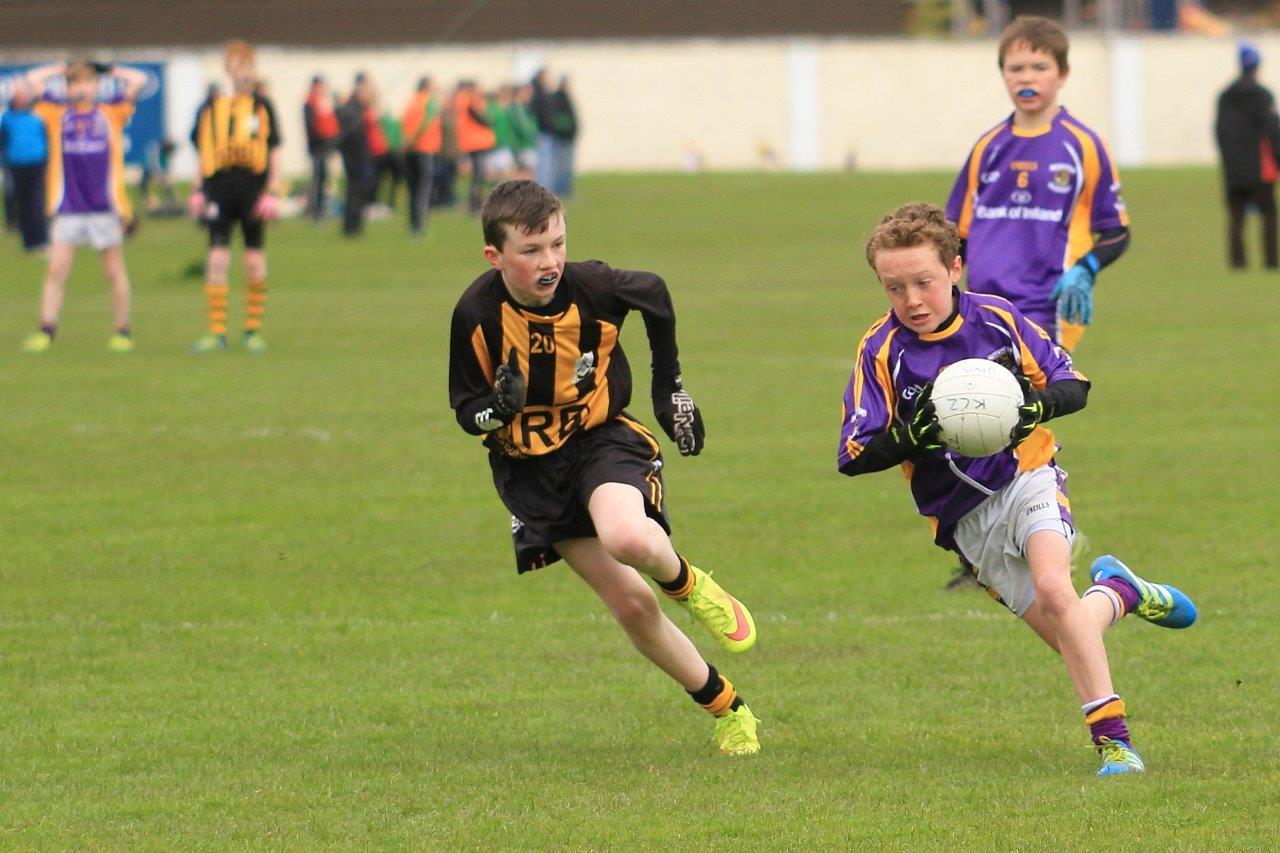 Féile B Team - Reports and Photographs