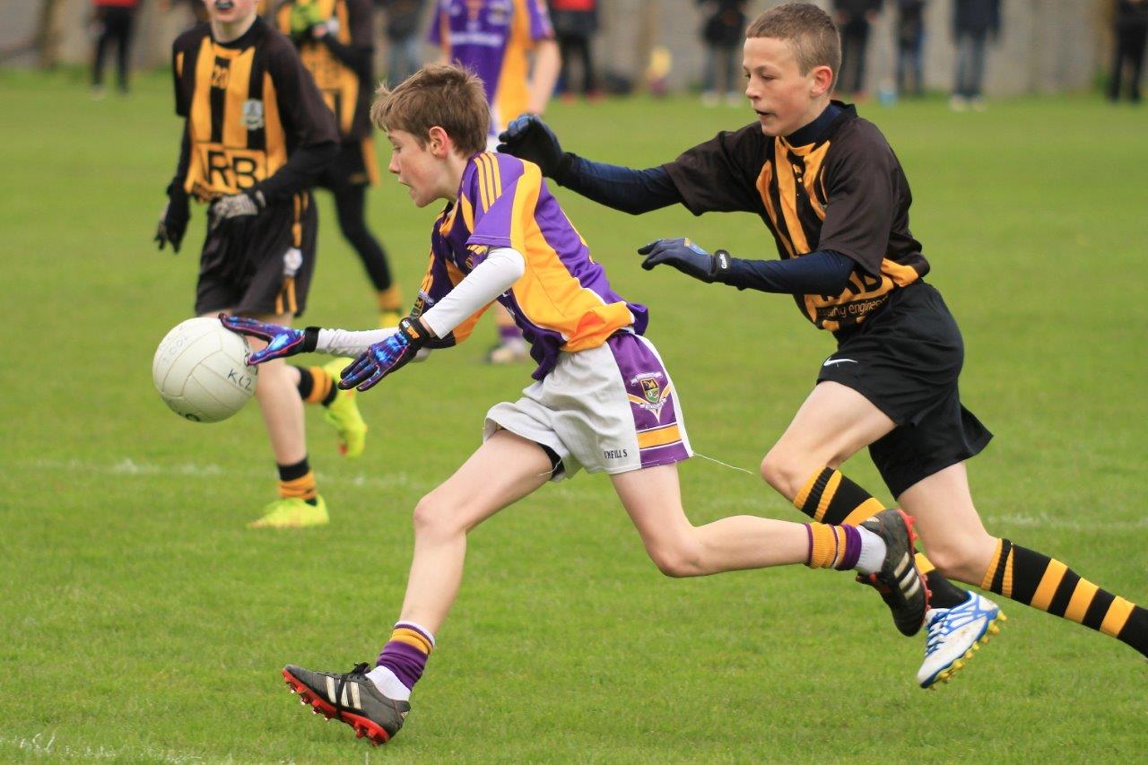 Féile B Team - Reports and Photographs