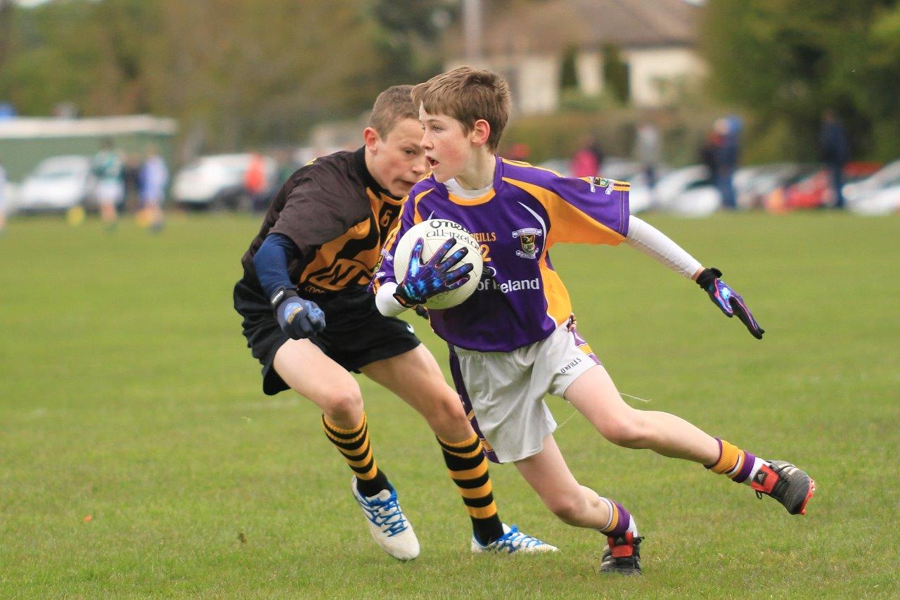 Féile B Team - Reports and Photographs