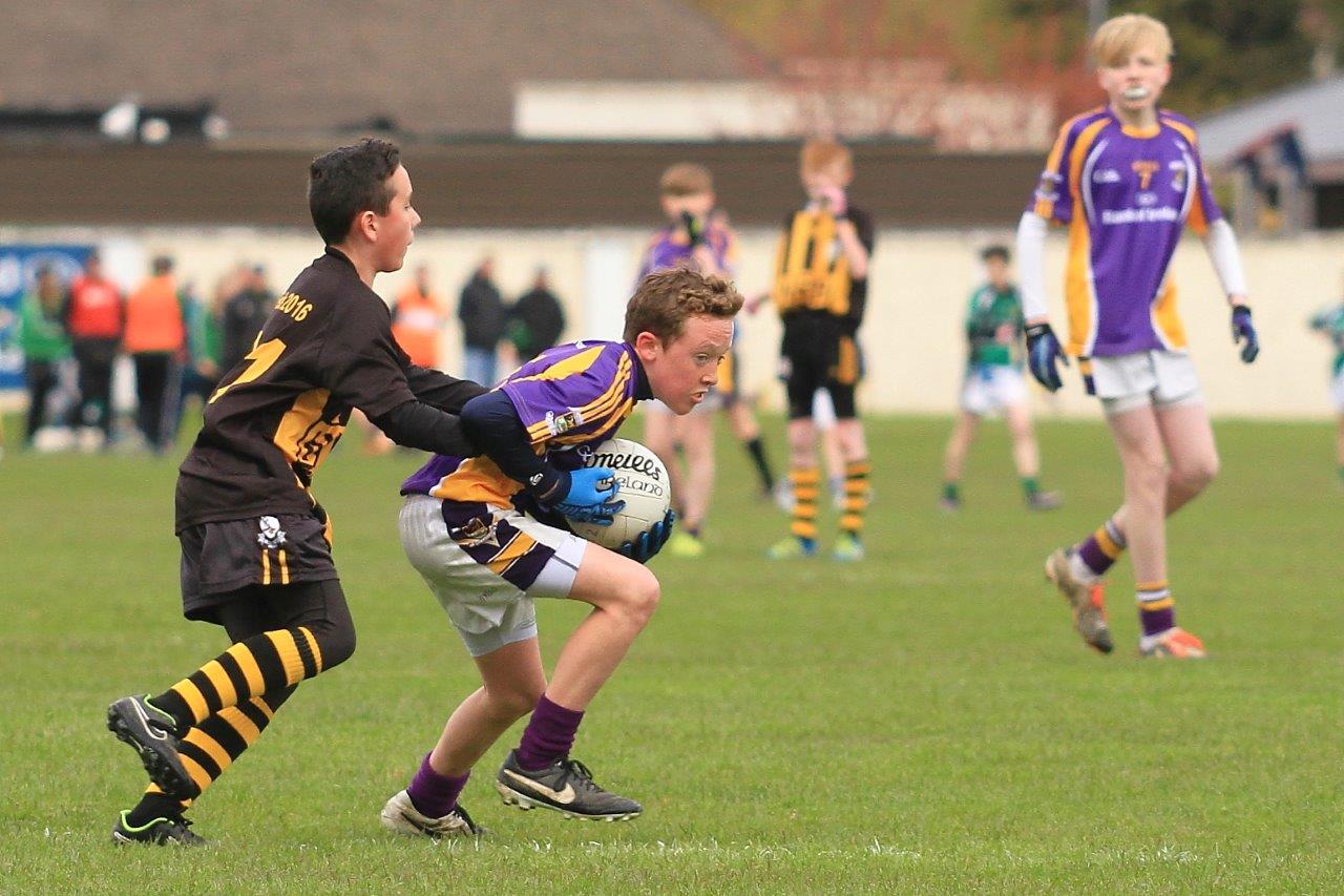 Féile B Team - Reports and Photographs