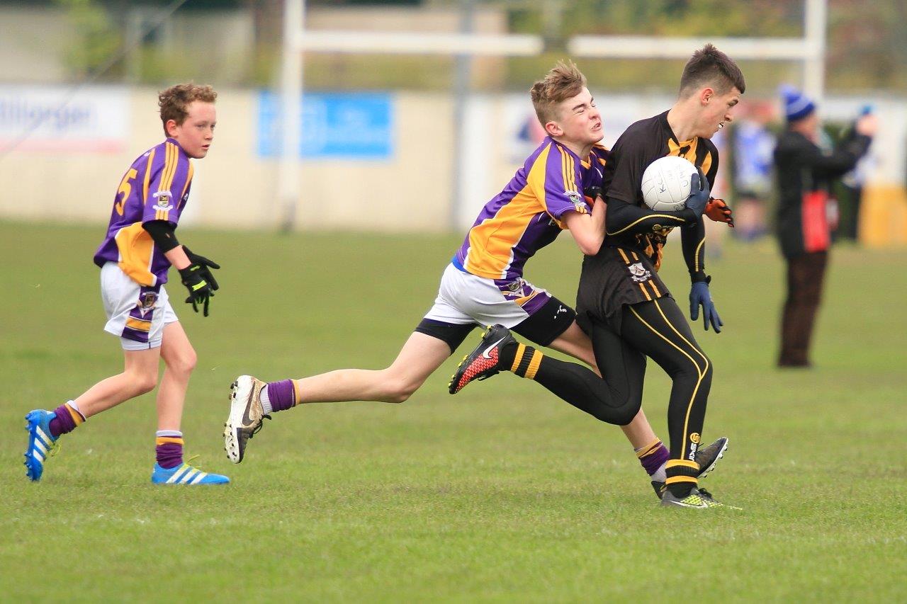 Féile B Team - Reports and Photographs