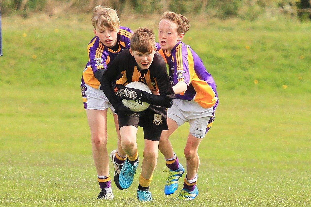 Féile B Team - Reports and Photographs